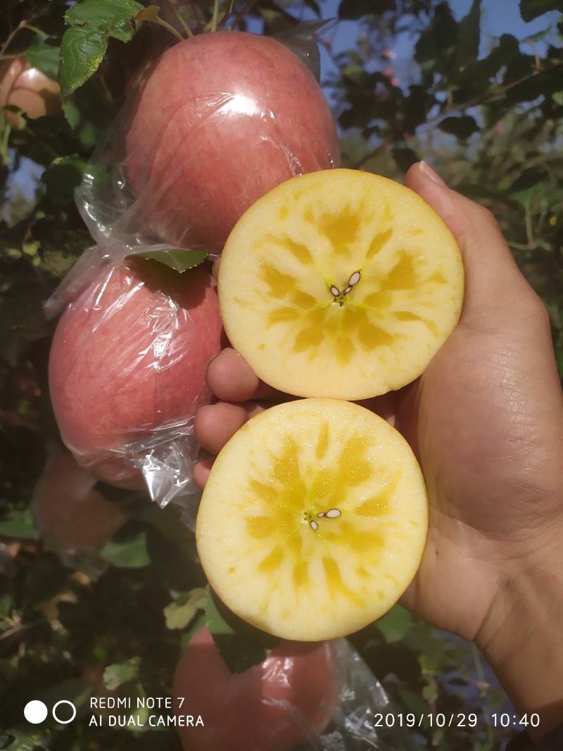 【推荐】山西冰糖心苹果大量供应一手货源品质保证量大从优