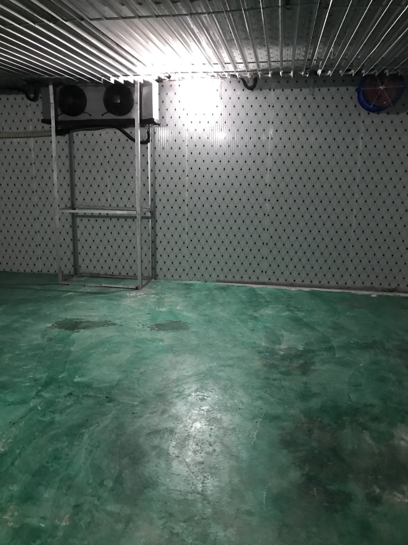 东西湖大量冷藏库冷冻库出租