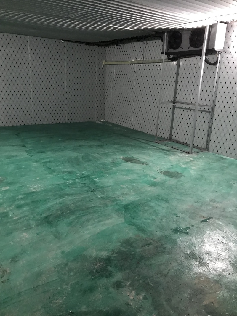 东西湖大量冷藏库冷冻库出租
