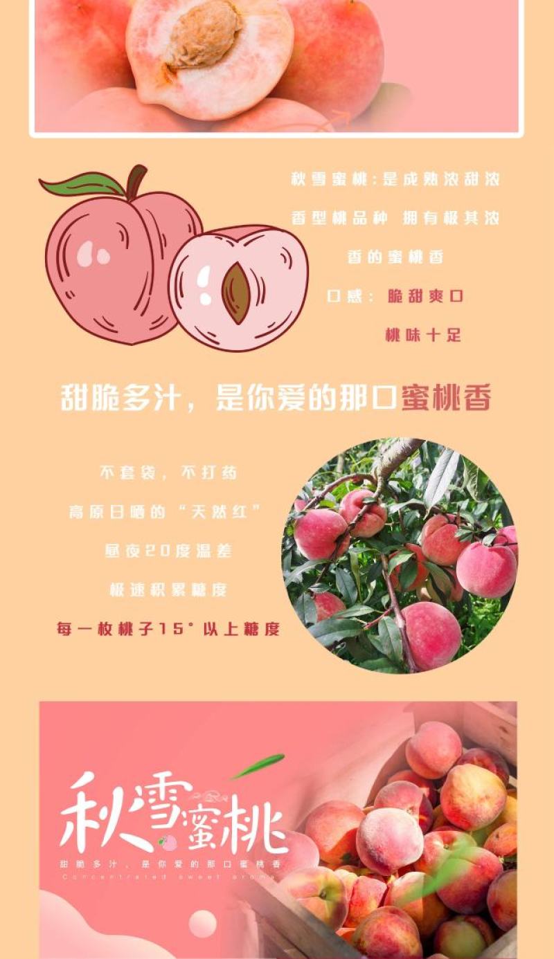 滇东映霜秋雪桃、黄桃