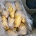 山东优质冷库箱装荷兰土豆大量供应