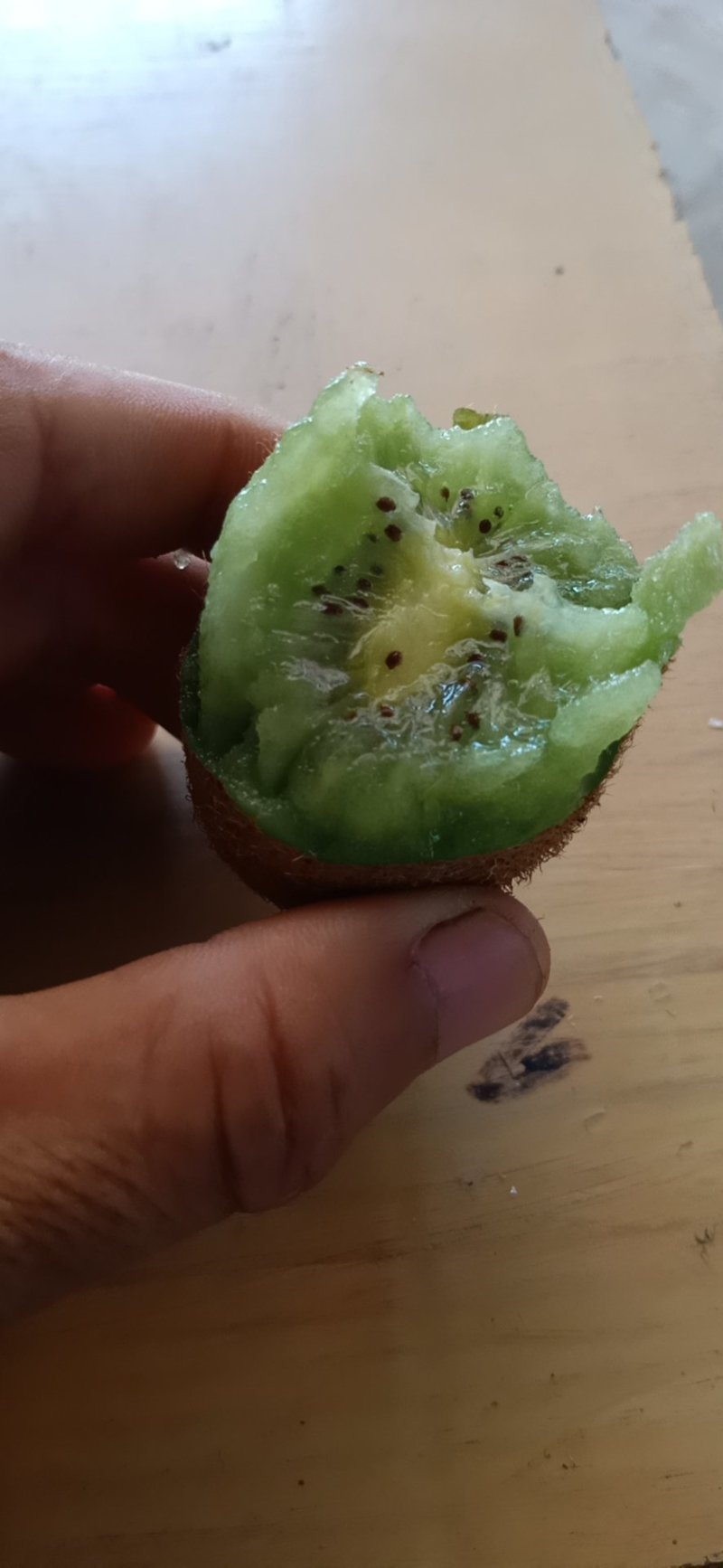 猕猴桃，一手货源，大量现货