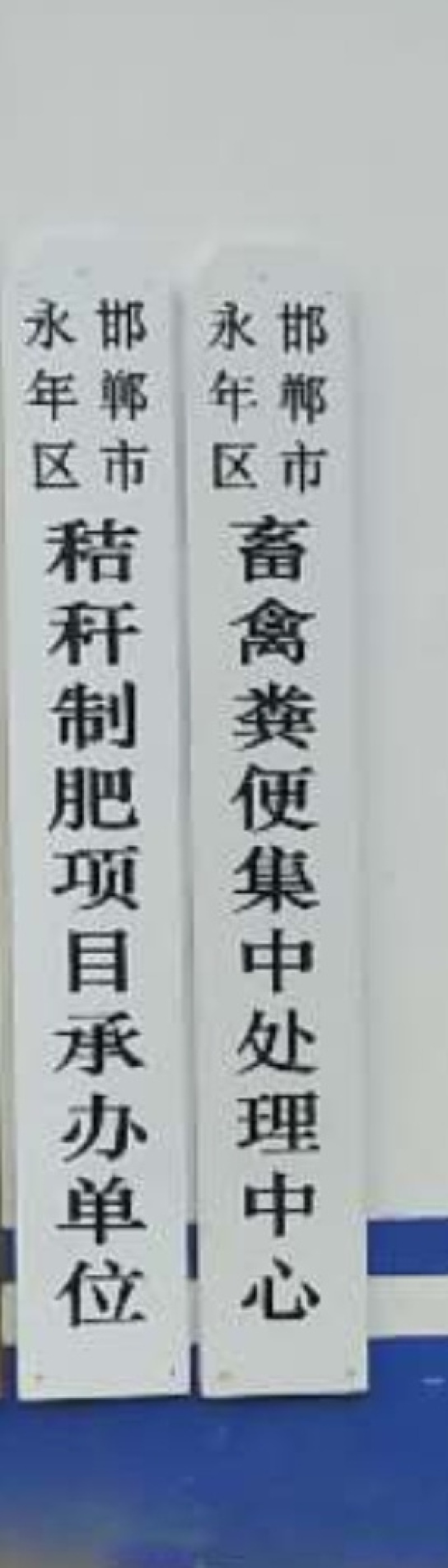 哈茨木霉菌抗死棵，抗烂苗抗后期枯萎消除真菌病毒