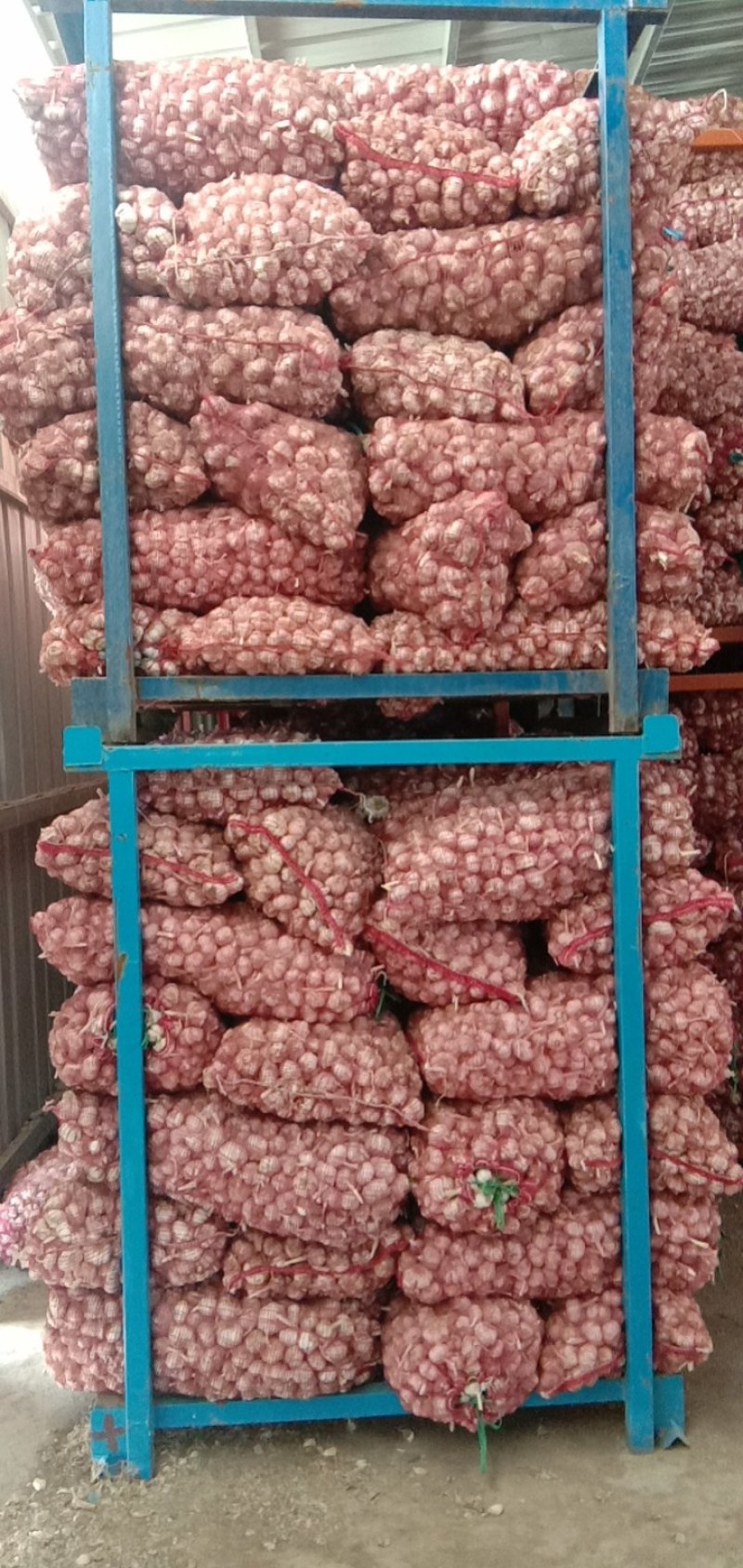 河南大蒜，紫皮蒜，货量充足，欢迎采购，全国代发，质量保证