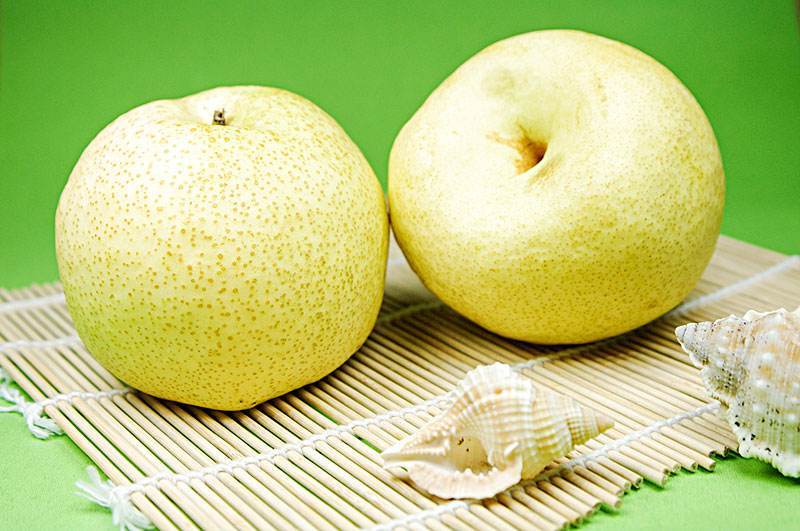 精品砀山酥梨大量上市，果型好，味甜，诚信第一，