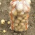 尤金885土豆大量上市中