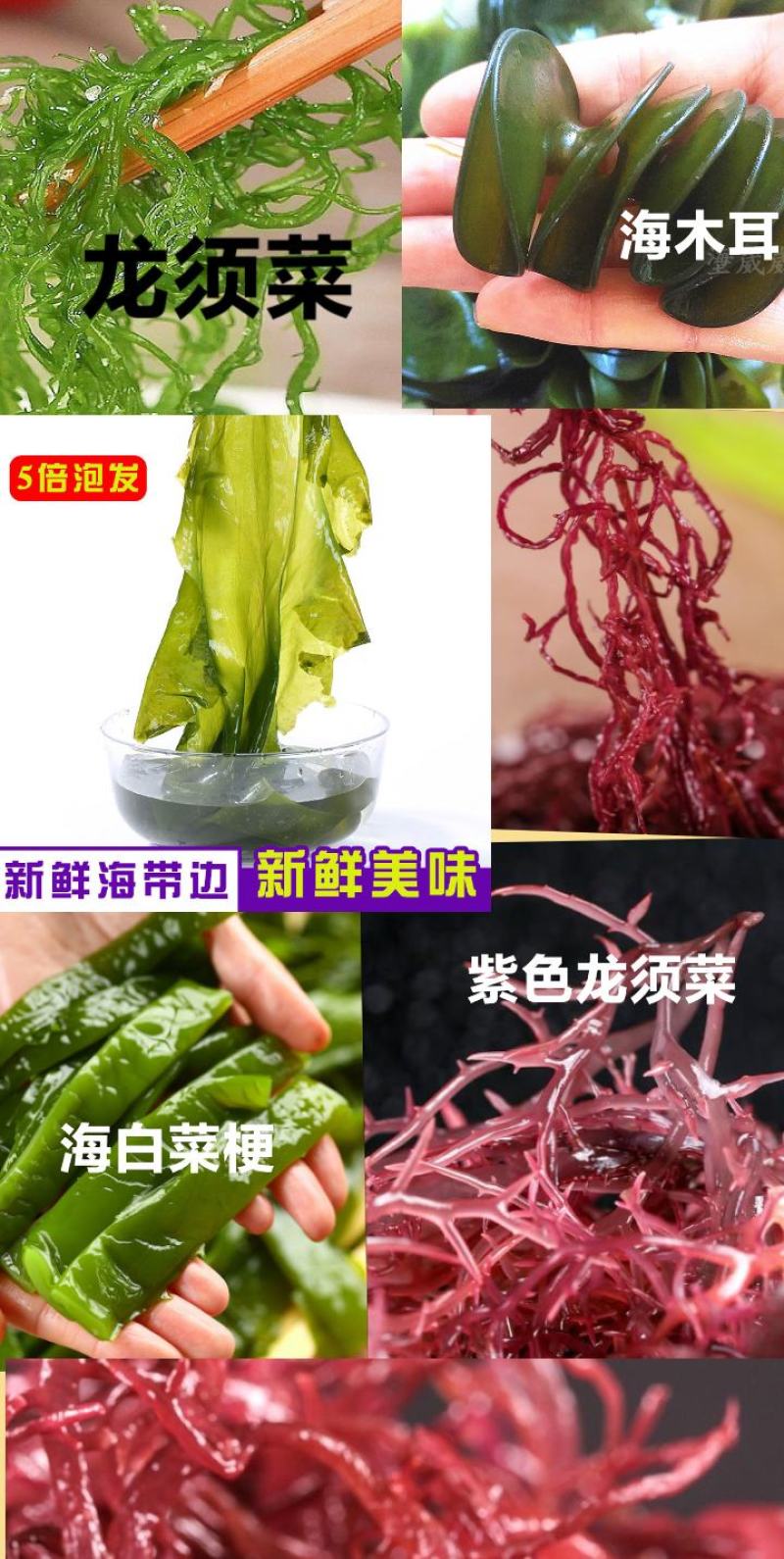 晒干龙须菜凉拌龙须菜脆嫩可口龙须菜海洋中的美食5斤包邮