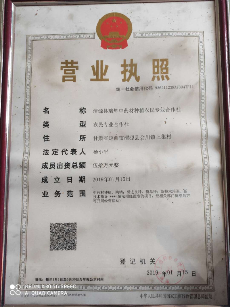 甘肃党参白条党参特级晒干党参条党参段党参片中药材批发