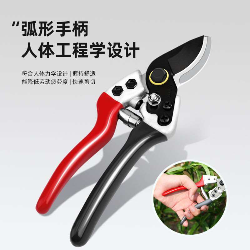 果枝剪〈包邮〉剪枝果树修枝剪刀园艺园林修花枝剪家用强力剪