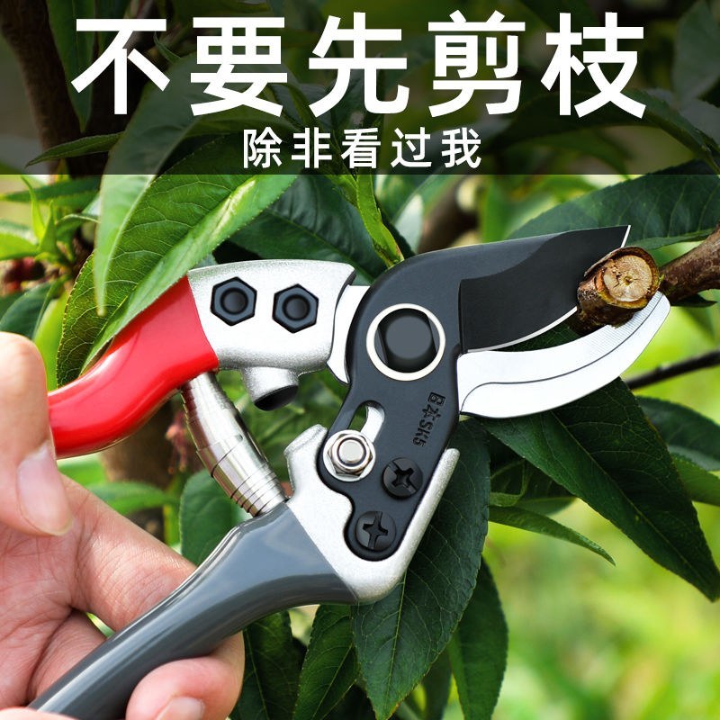 果枝剪〈包邮〉剪枝果树修枝剪刀园艺园林修花枝剪家用强力剪