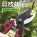 果枝剪〈包邮〉剪枝果树修枝剪刀园艺园林修花枝剪家用强力剪