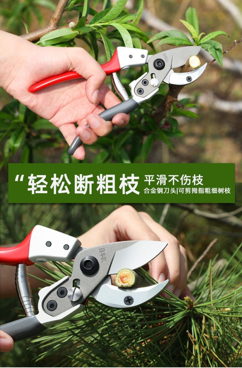 果枝剪〈包邮〉剪枝果树修枝剪刀园艺园林修花枝剪家用强力剪