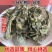 山间谷草野生龙利叶龙舌叶龙味叶500g包邮