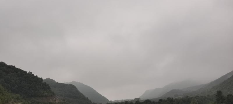 5000亩山林，位于河北省张家口市怀来县对外转租也可合作