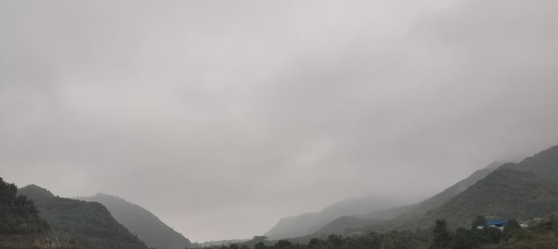 5000亩山林，位于河北省张家口市怀来县对外转租也可合作