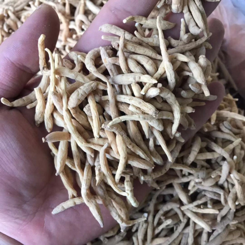 太子参正品无硫磺太子参孩儿参各种规格齐全批发价