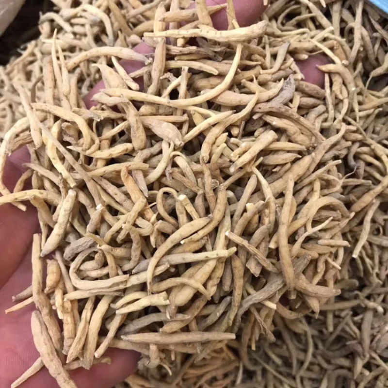 太子参正品无硫磺太子参孩儿参各种规格齐全批发价