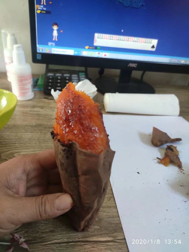山东烟薯25农户自产自销高岭沙土地种植蜜薯