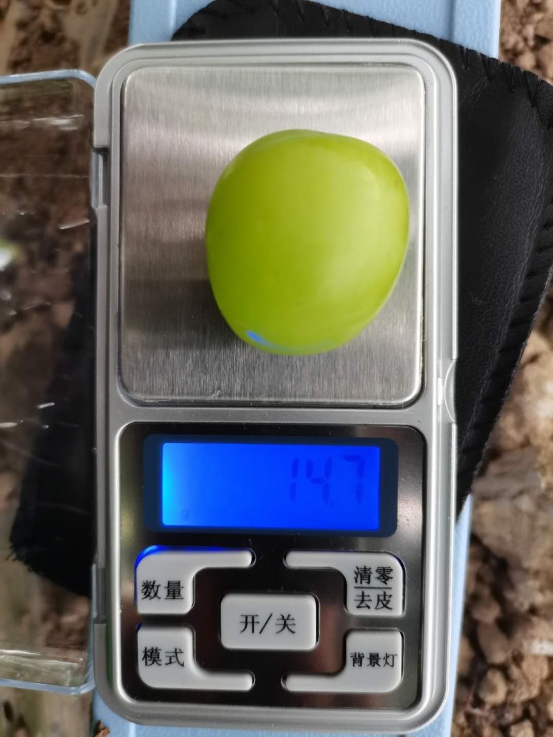 阳光玫瑰葡萄串型紧，糖度高果面亮价位不高口感好价格优