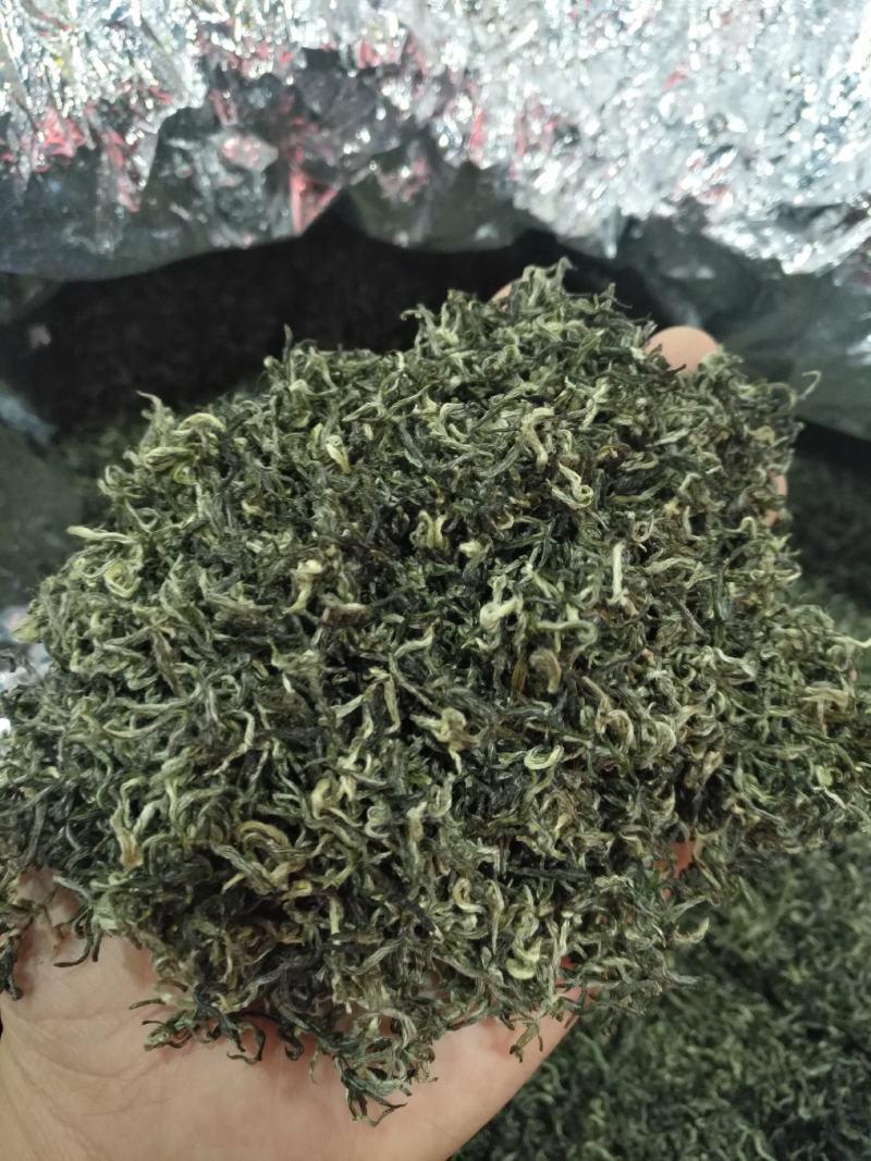 都匀毛尖原产地厂家直销，为您制作满意的茶