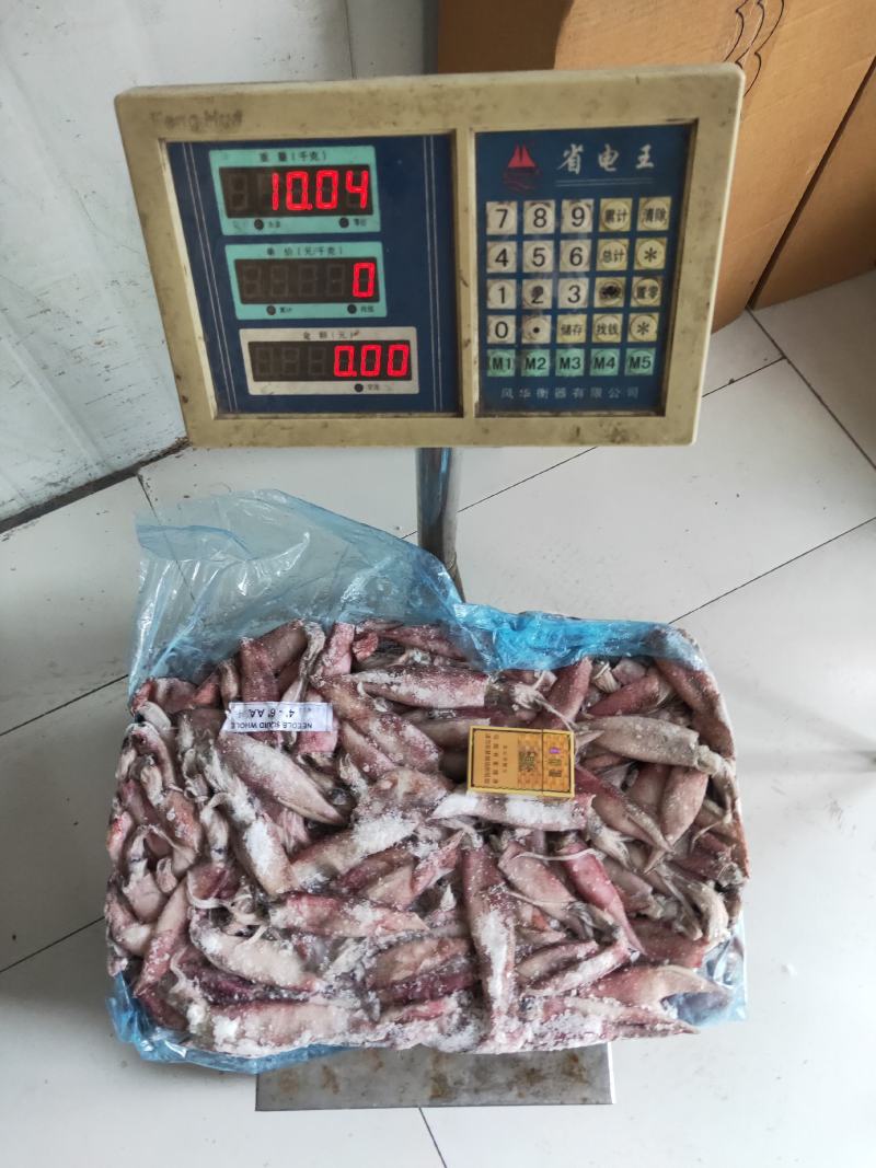 海产品，鱿鱼，笔管鱼，马来