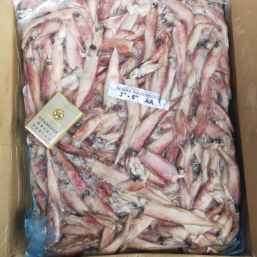 海产品，鱿鱼，笔管鱼，马来
