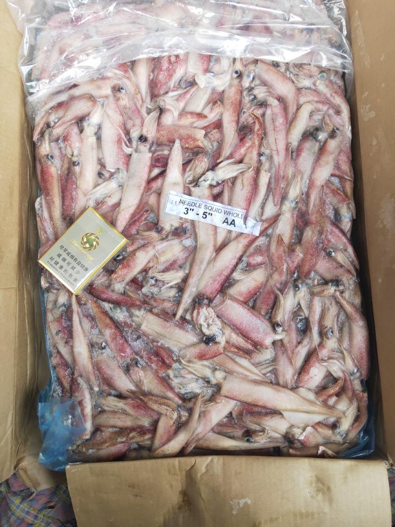 海产品，鱿鱼，笔管鱼，马来