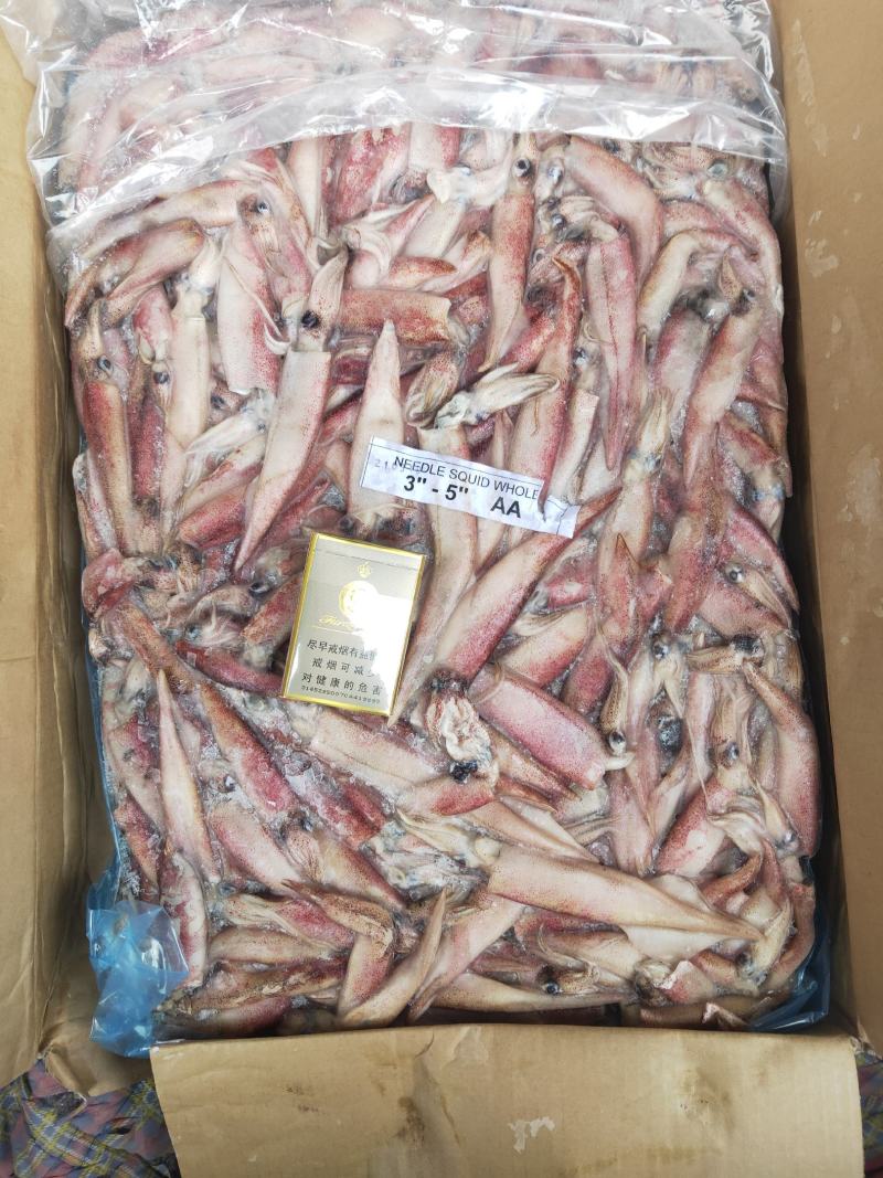 海产品，鱿鱼，笔管鱼，马来