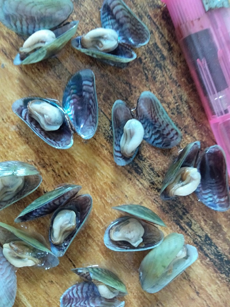 蟹料，青皮，海瓜子！！！