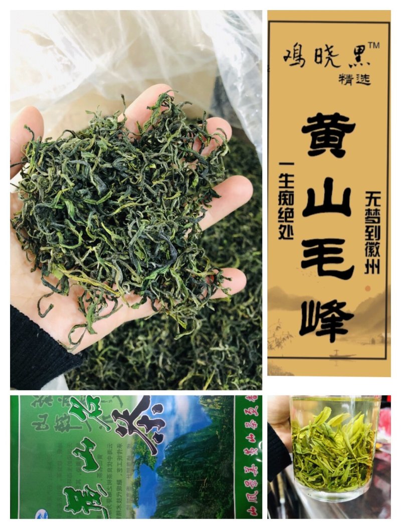 黄山毛峰批发零售