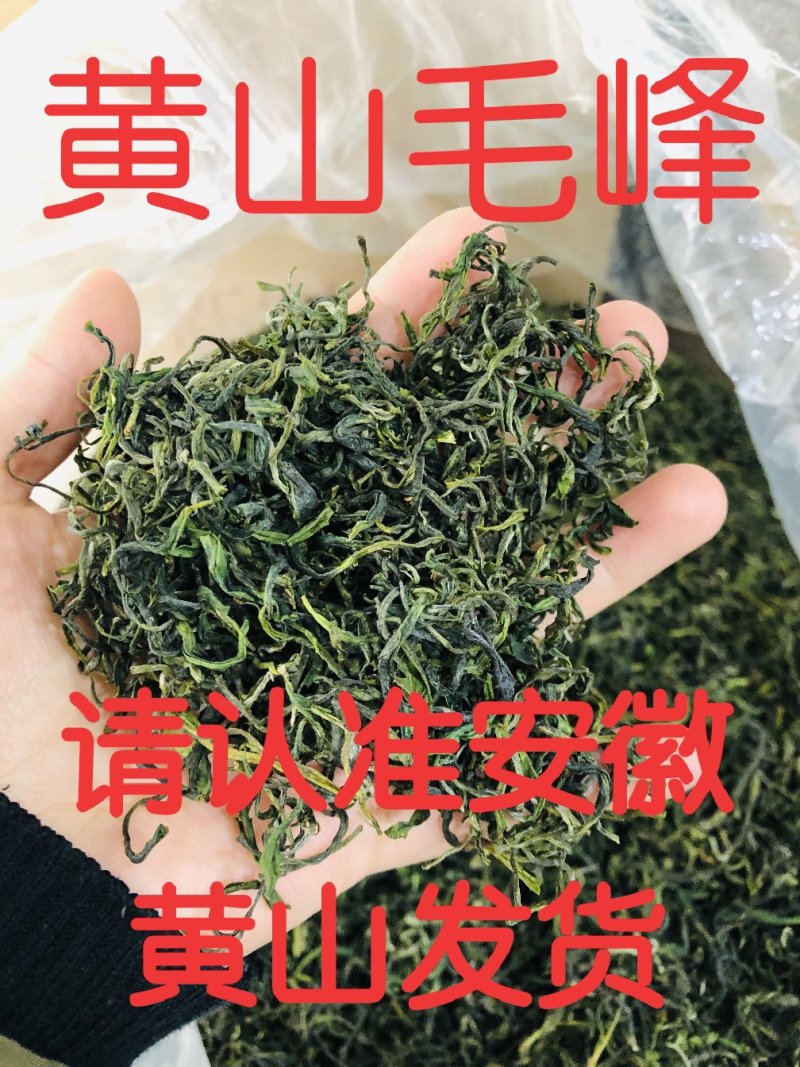 黄山毛峰批发零售