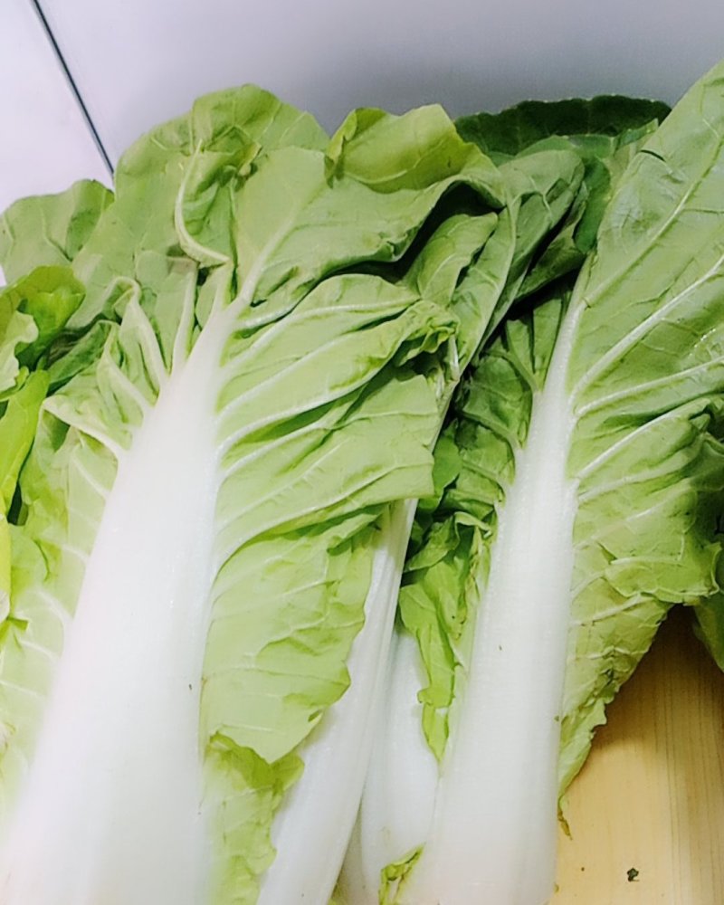 关于叶菜类的应有尽有，质量保证，及（福建省内）免费配送