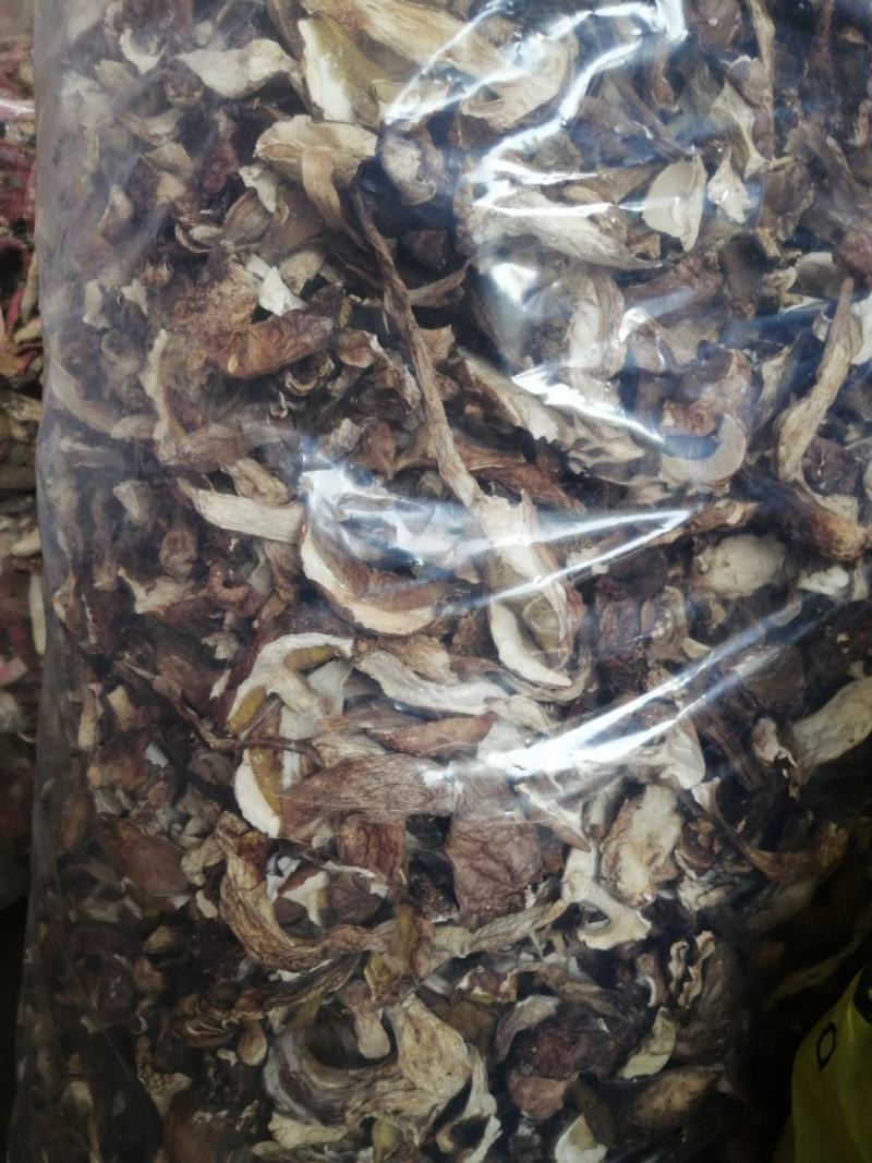 牛肝菌，河南省方城县牛肝菌干片，盐渍，质量非常好产地直供