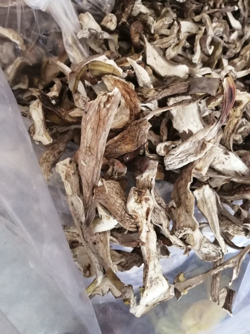 牛肝菌，河南省方城县牛肝菌干片，盐渍，质量非常好产地直供