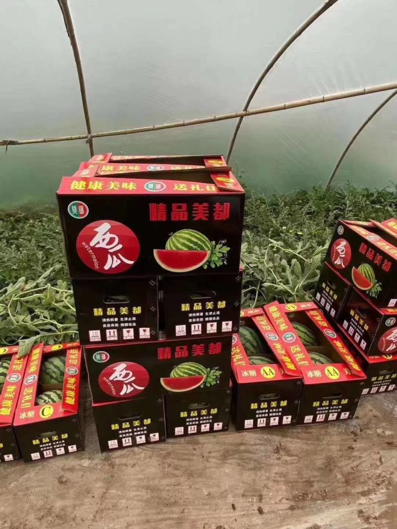 精品美都西瓜现摘现发头茬西瓜代发全国，承接商超，电商