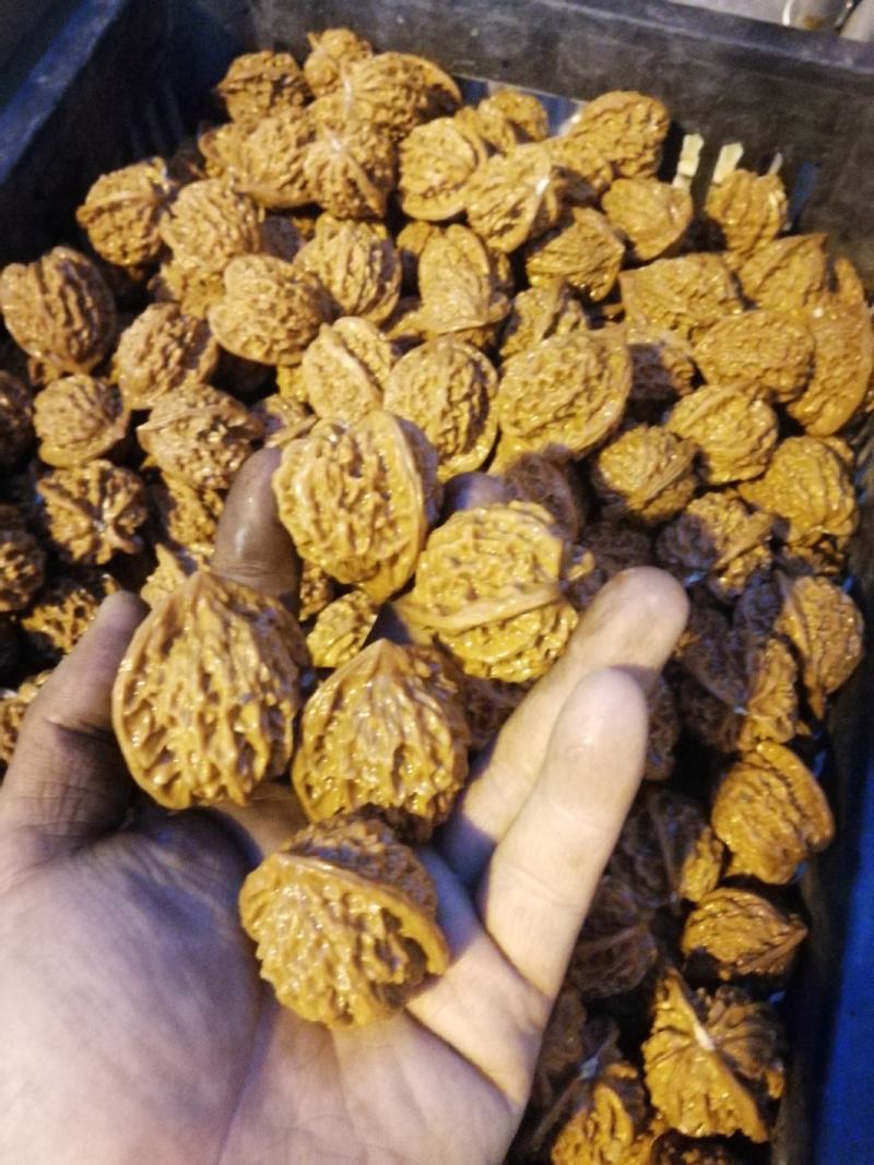 四大名核之一盘山公子帽