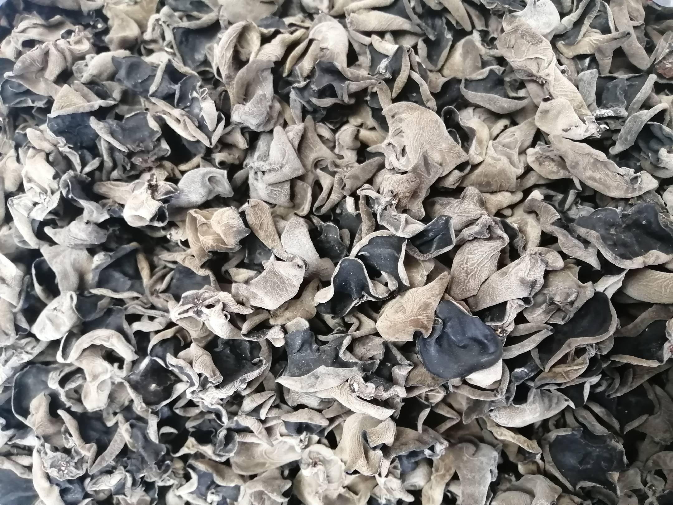 黑木耳的形态与常见食用方式