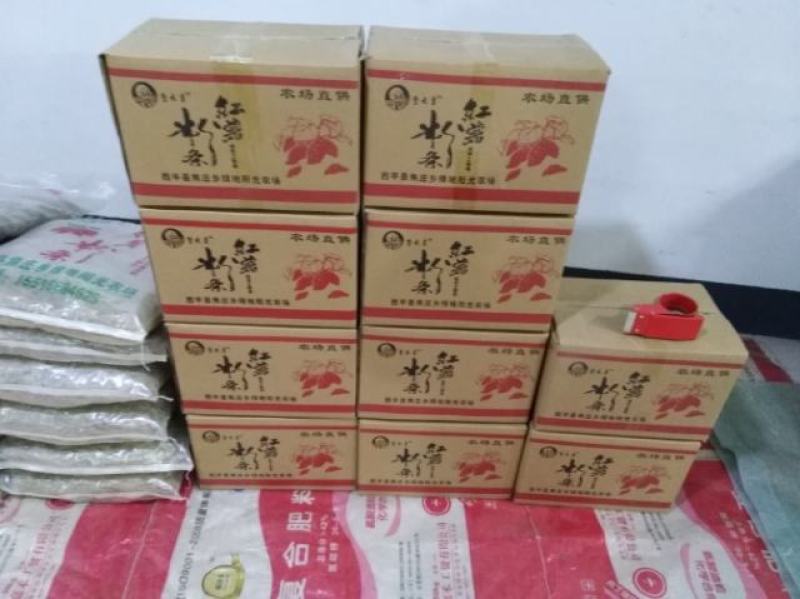 【实力供货粉条】红薯粉条河南基地直发无色素无添加全国发货电联