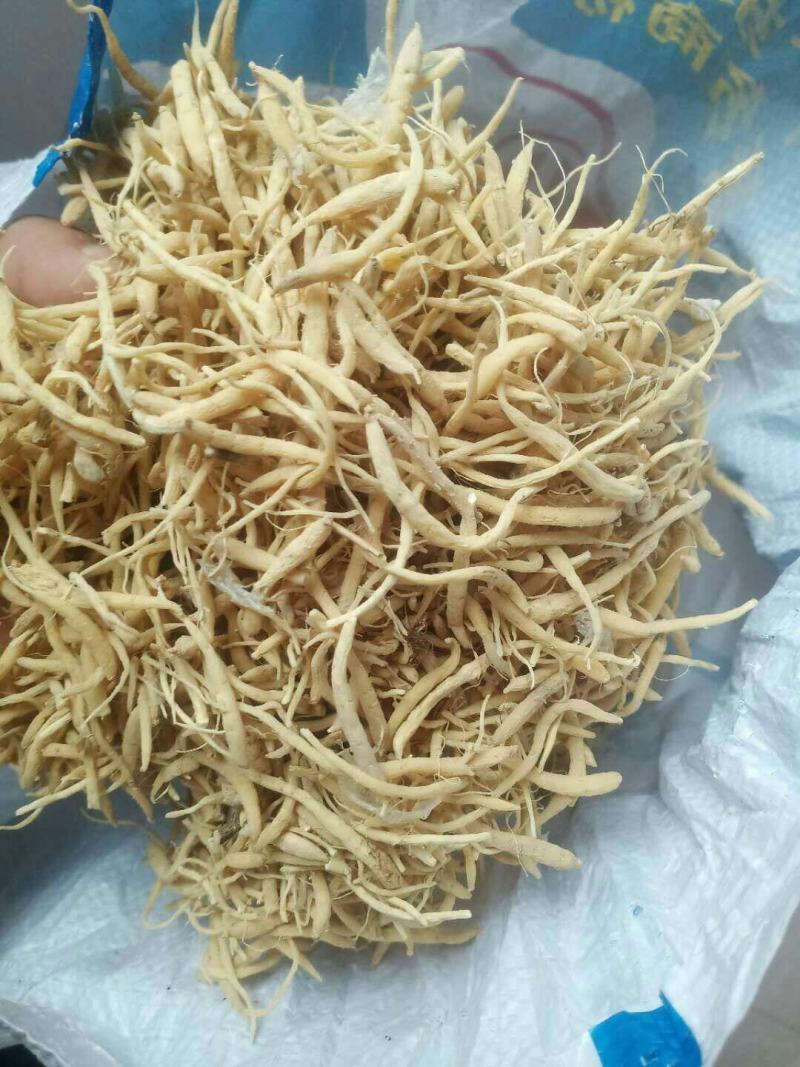 贵州省施秉县牛大场镇太子参假一赔十包邮了