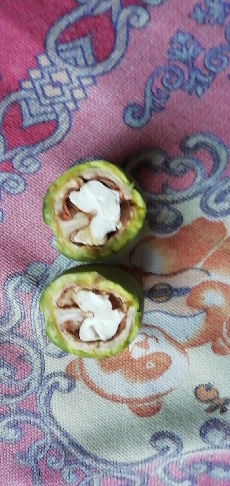 清香辽细大量现货需要的联系我
