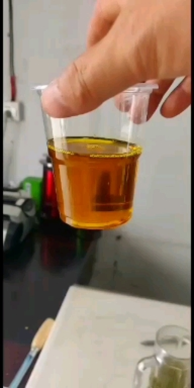 汉中优质本地菜籽有现货，价格以面谈为准，客户需要价格详谈