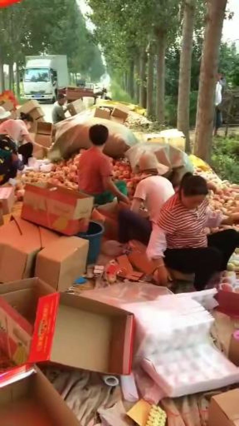 山东潍坊纸袋红星苹果个头大颜色好现釆现装一手货源无差价