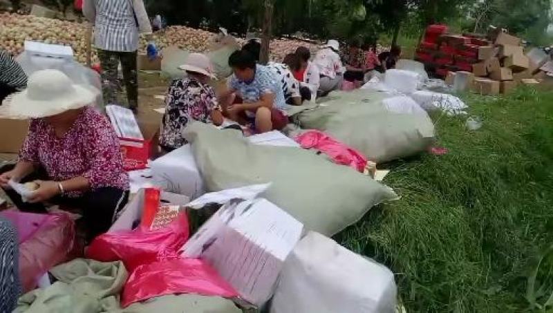 山东潍坊纸袋红星苹果个头大颜色好现釆现装一手货源无差价