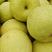 砀山酥梨大量上市，口感脆甜，汁多，糖度高，欢迎前来选购。
