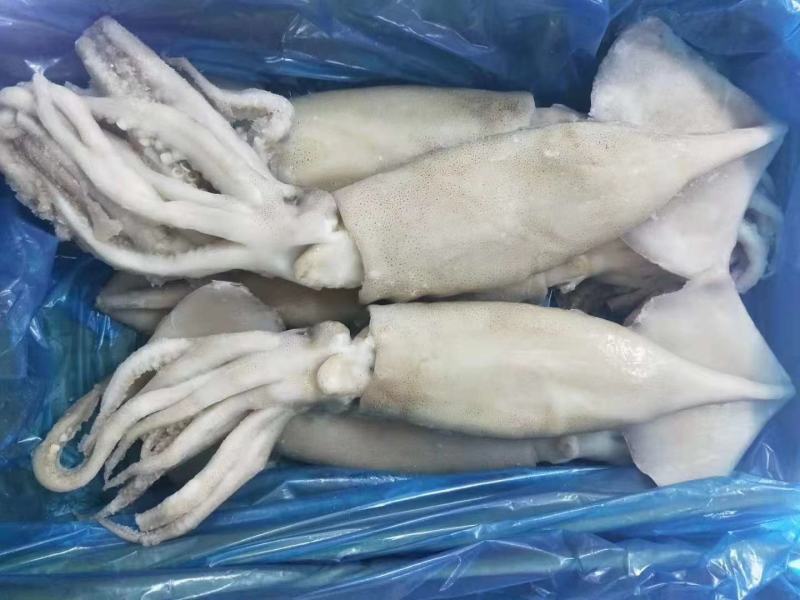 鱿鱼头一箱5斤，。。。。。。。。。。。。。。
