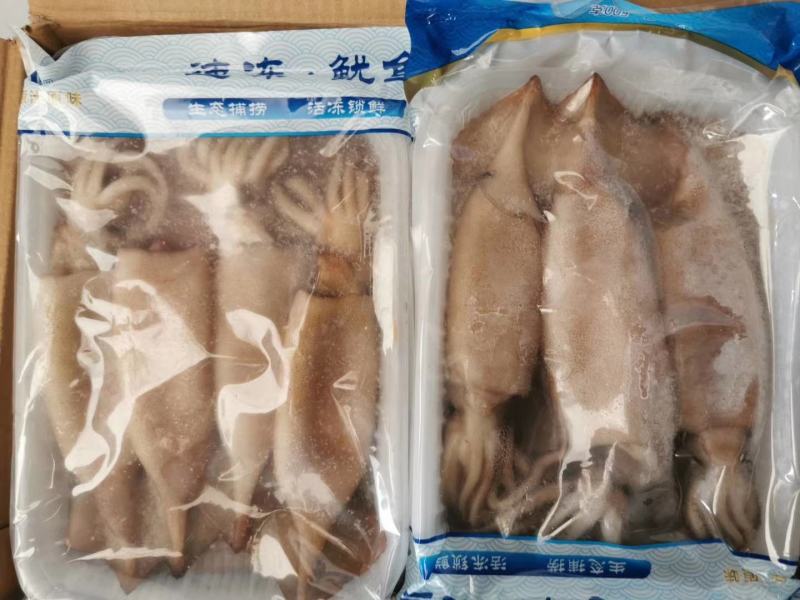 鱿鱼头一箱5斤，。。。。。。。。。。。。。。