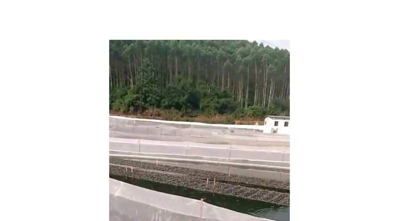 围网防逃网养殖业，水产业，农业