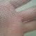 围网防逃网养殖业，水产业，农业