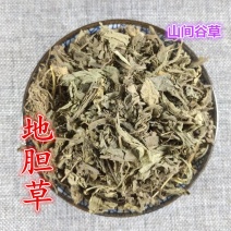 地胆草草鞋底磨地胆地苦胆地胆头干货500g包邮