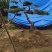 造型黑松造型油松景观松泰山松造型松